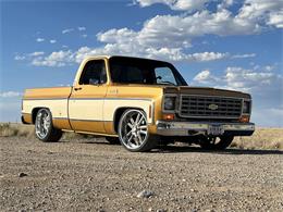 1976 Chevrolet C10 (CC-1948474) for sale in Reno, Nevada